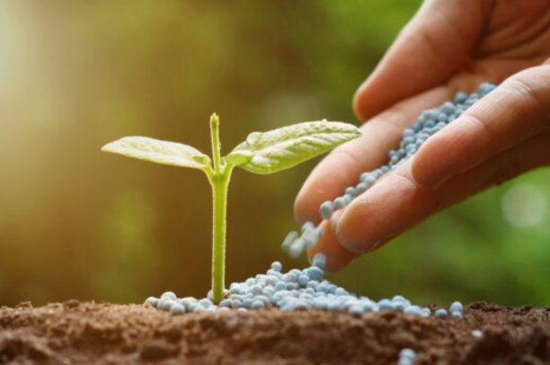 Soil Analysis Fertilizer Recommendations
