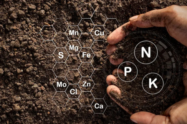 Integrated Nutrient Management