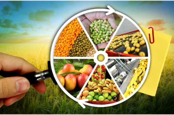 Agricultural Produce Processing