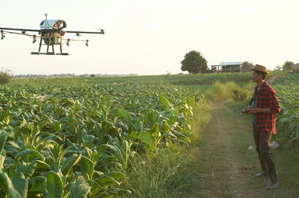 Rural Development