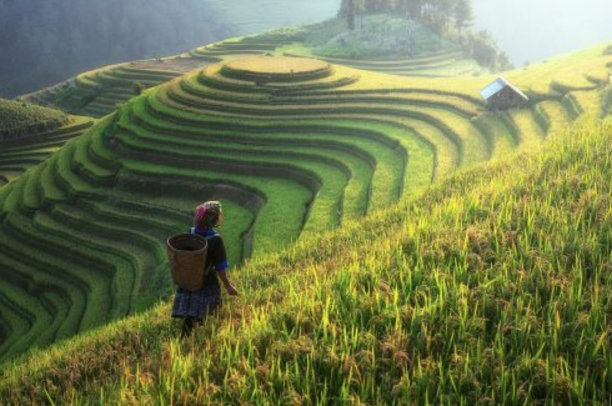 Farmer Poverty Alleviation