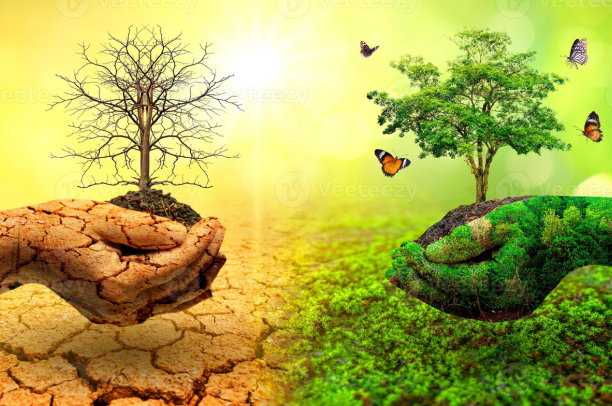 Preservation of environment