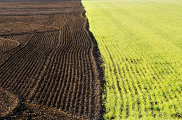 Carbon sequestration and sustainable agriculture