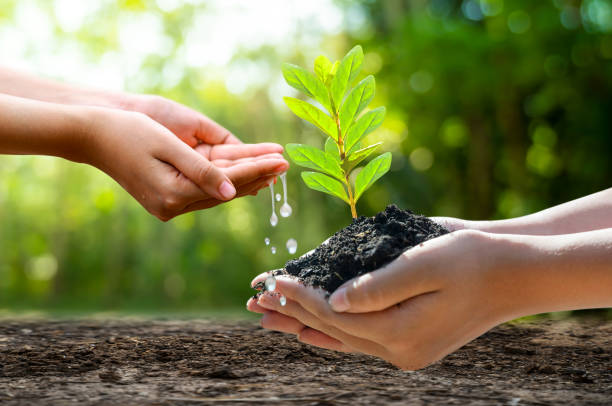 Save Soil
