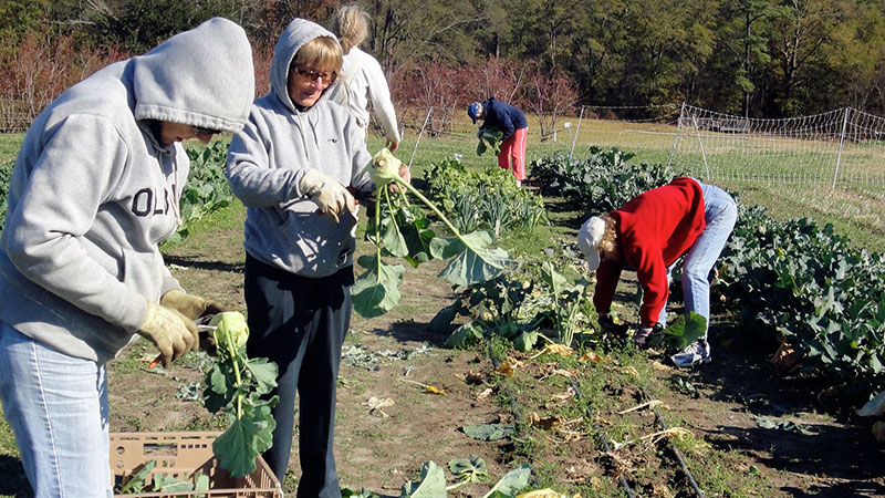 Volunteers supporting farmers and rural communities